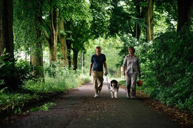 Zwei Personen spazieren im wald mit einem hund
